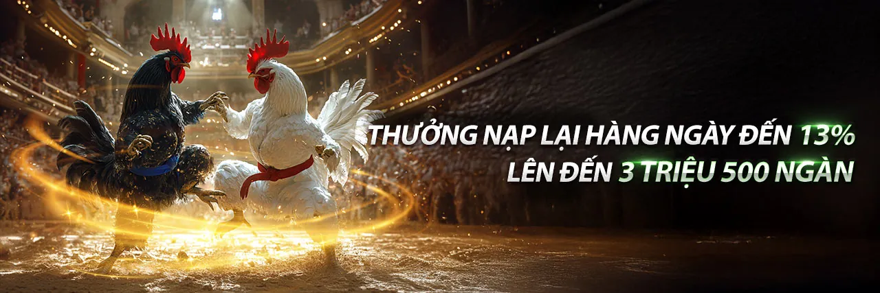 Đá Gà Trực Tiếp 12/11 – Sân đấu kịch tính